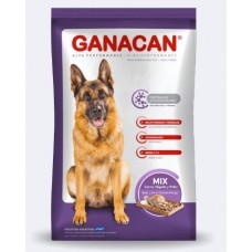 GANACAN ADULTO